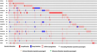 Monitoring Immune Checkpoint Regulators as Predictive Biomarkers in Hepatocellular Carcinoma